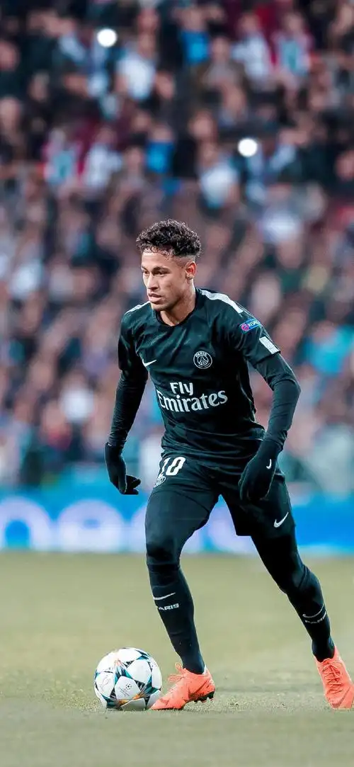 段性目标 段性目标